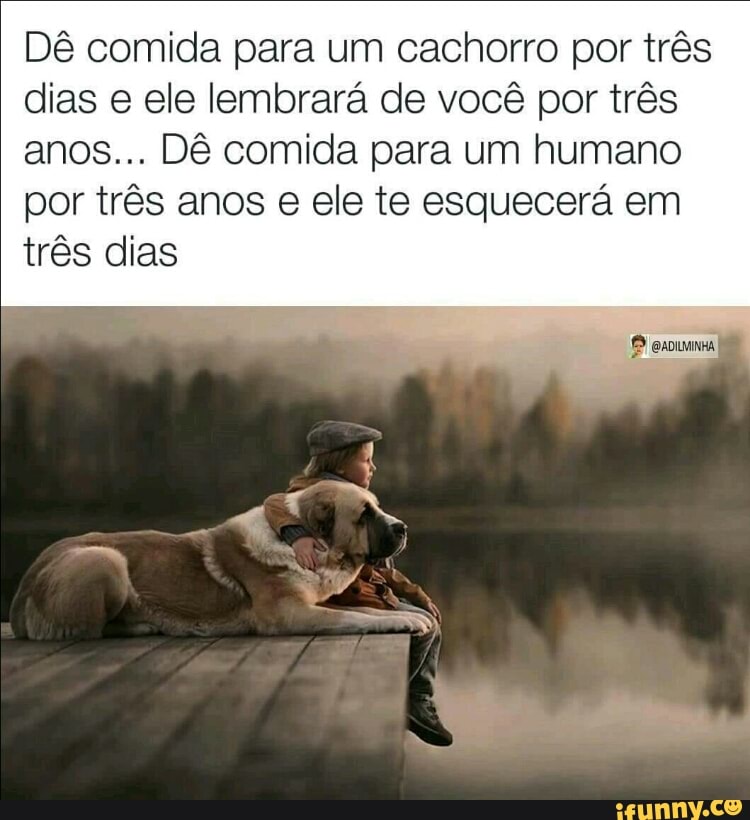 Dê comida para um cachorro por três
dias e ele lembrará de você por três
anos... Dê comida para um humano
por três anos e ele te esquecerá em
três dias