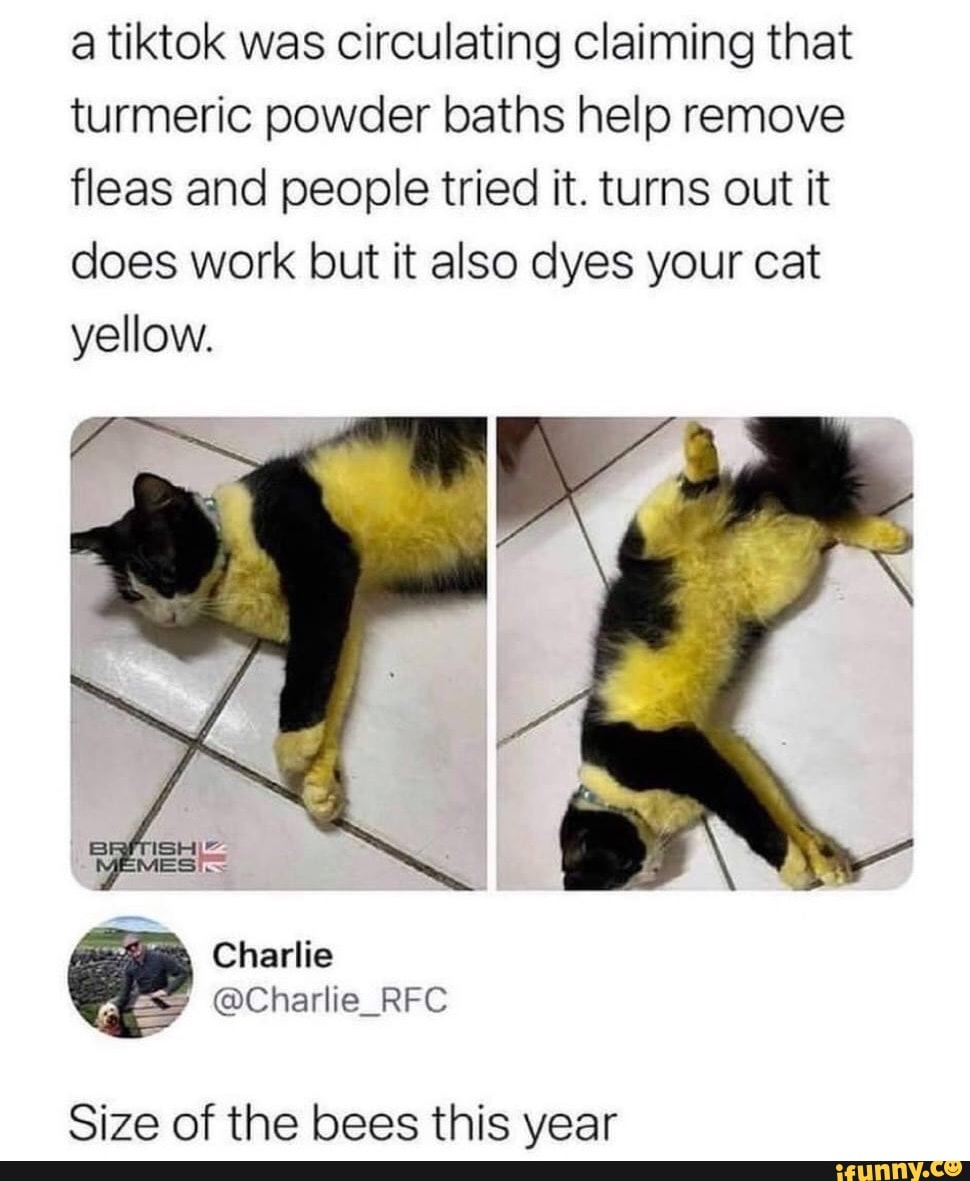 A tiktok was circulating claiming that turmeric powder baths help