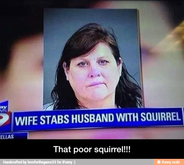 ELLAS
That poor squirrel!!! - That poor squirrel!!!
