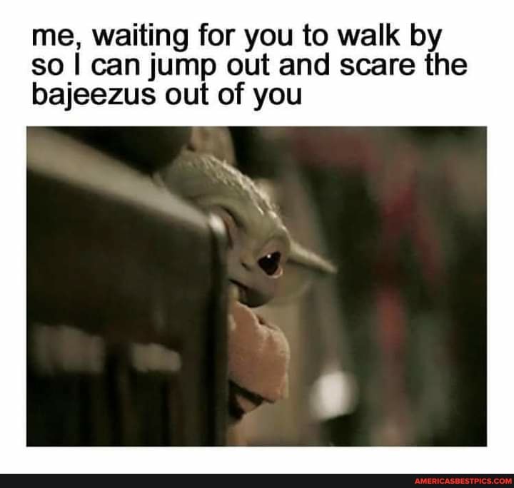 me, waiting for you to walk by so I can jump out and scare the bajeezus out of you
