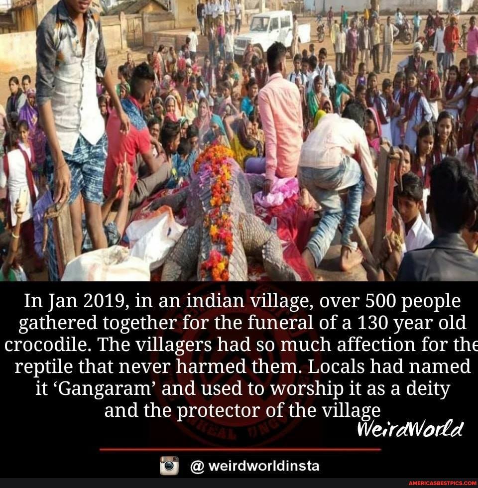 He -
In Jan 2019, in an indian village, over 500 people gathered together for the funeral of a 130 year old crocodile. The villagers had so much affection for the reptile that never harmed them. Locals had named it 'Gangaram' and used to worship it as a deity
and the protector of the village
weirdwinrldincta