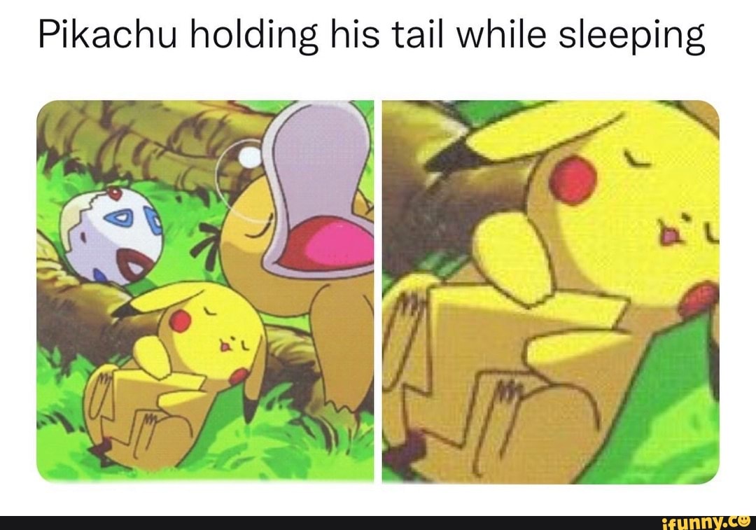 pikachu-holding-his-tail-while-sleeping-ifunny