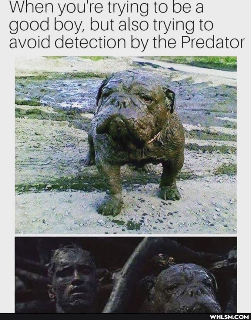 When youre trying to be a good boy, but also trying to avoid detection by the Predator
