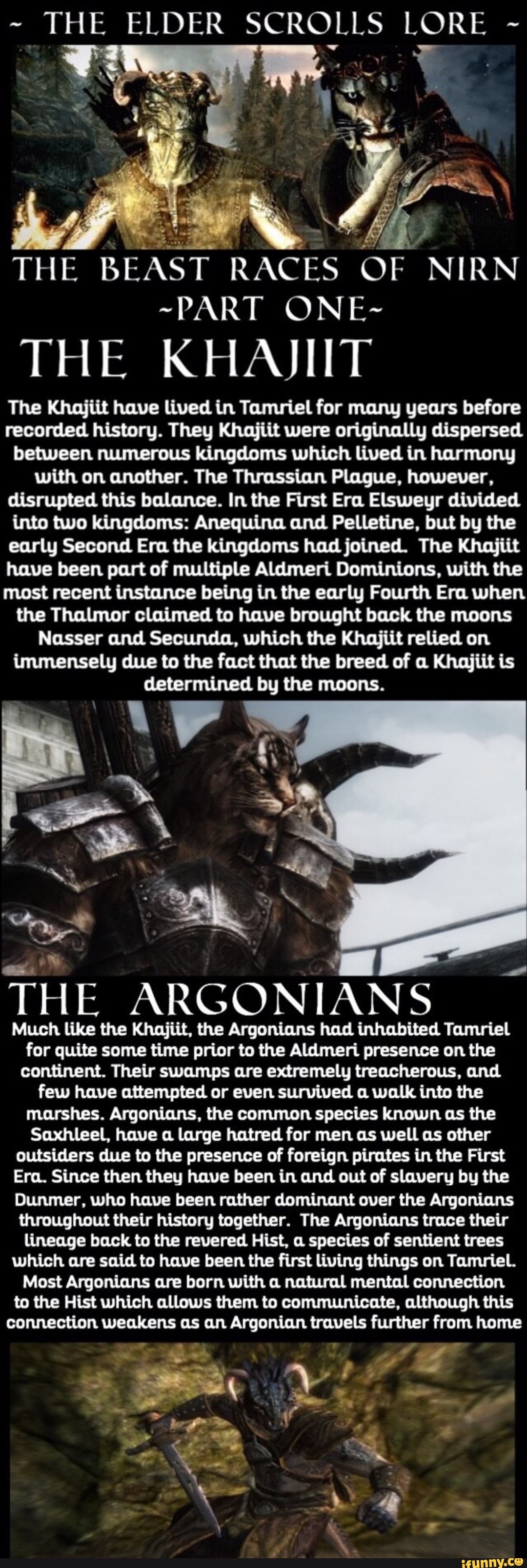 Elden Beast Lore THE ELDER SCROLLS LORE THE BEAST I RACES OF NIRN -PART ONE- THE KHAJHT