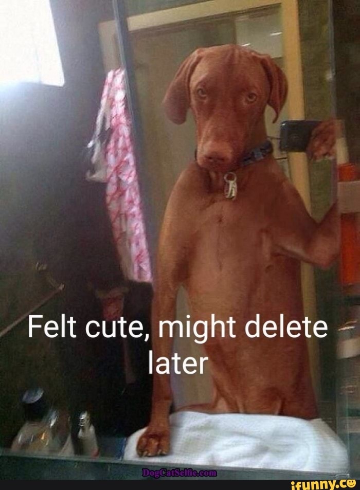 Felt cute, might delete later