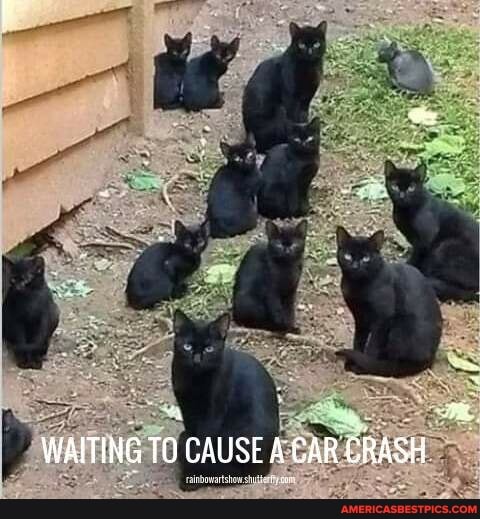 WAITING TO CAUSE A'CAR CRASH