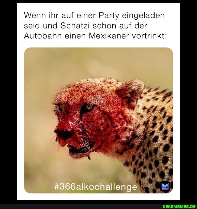 Wenn ihr auf einer Party eingeladen seid und Schatz schon auf der
Autobahn einen Mexikaner vortrinkt:
#366alkochallenge