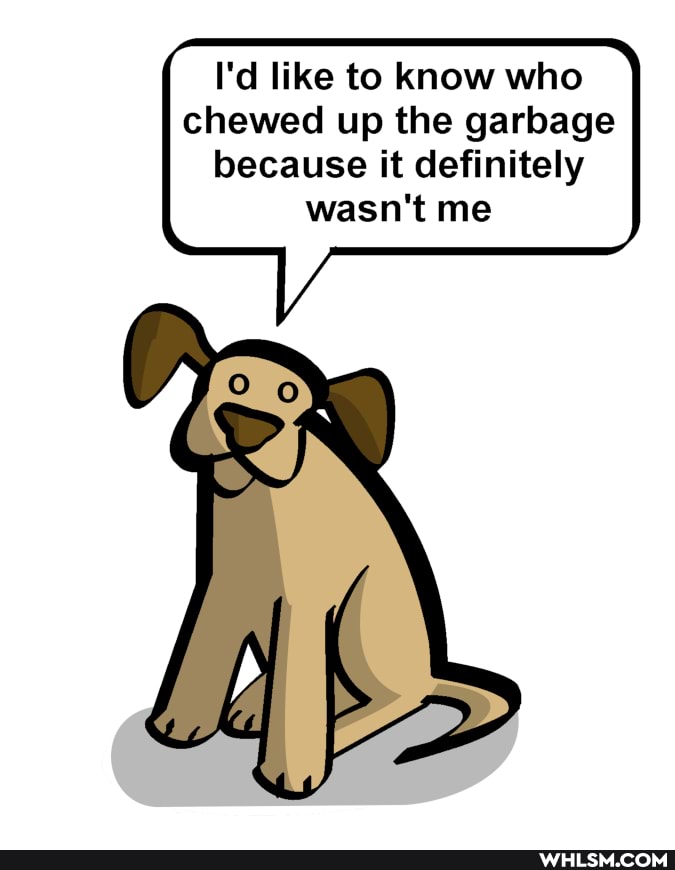 I'd like to know who chewed up the garbage because it definitely wasn't me