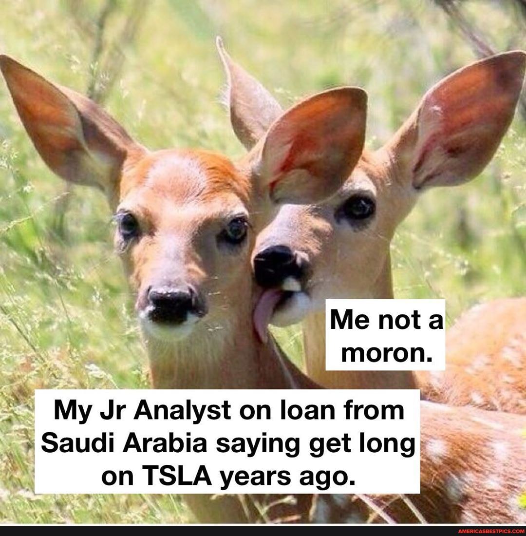 Me nota moron.
My Jr Analyst on loan from
Saudi Arabia saying get long
on TSLA years ago.