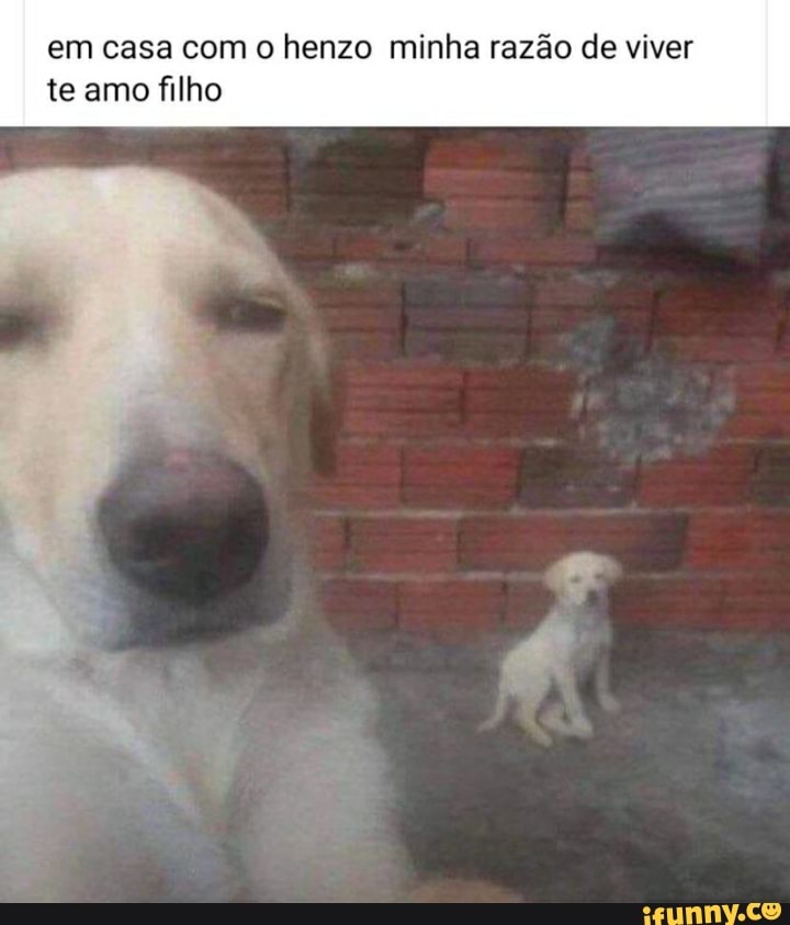em casa com henzo minha razão de viver te amo filho