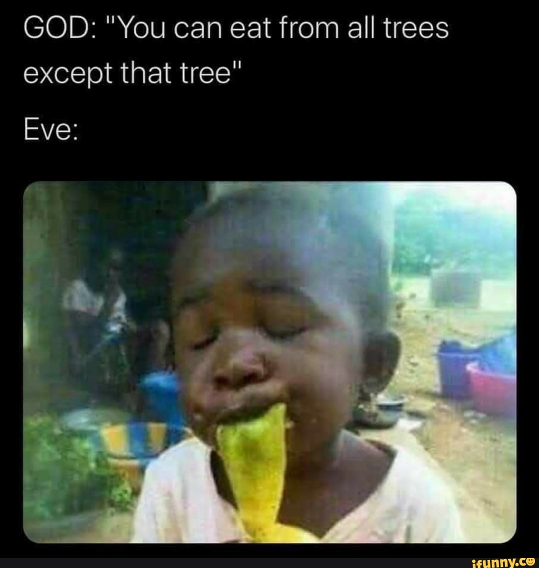 GOD: "You can eat from all trees except that tree"
Eve: