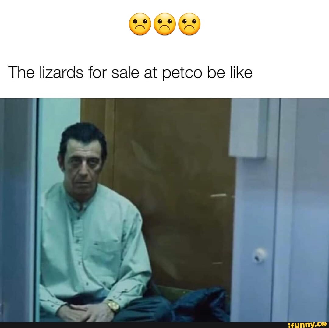 The lizards for sale at petco be like AN - iFunny