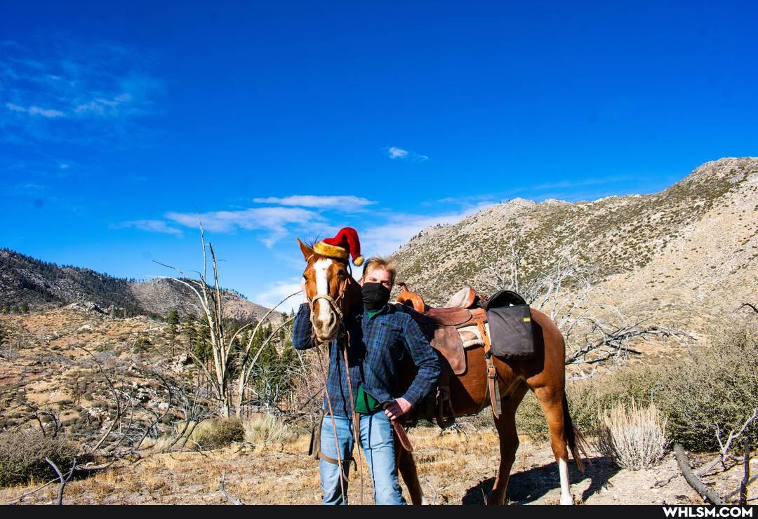 nature, horse, mountains, christmas_selfie