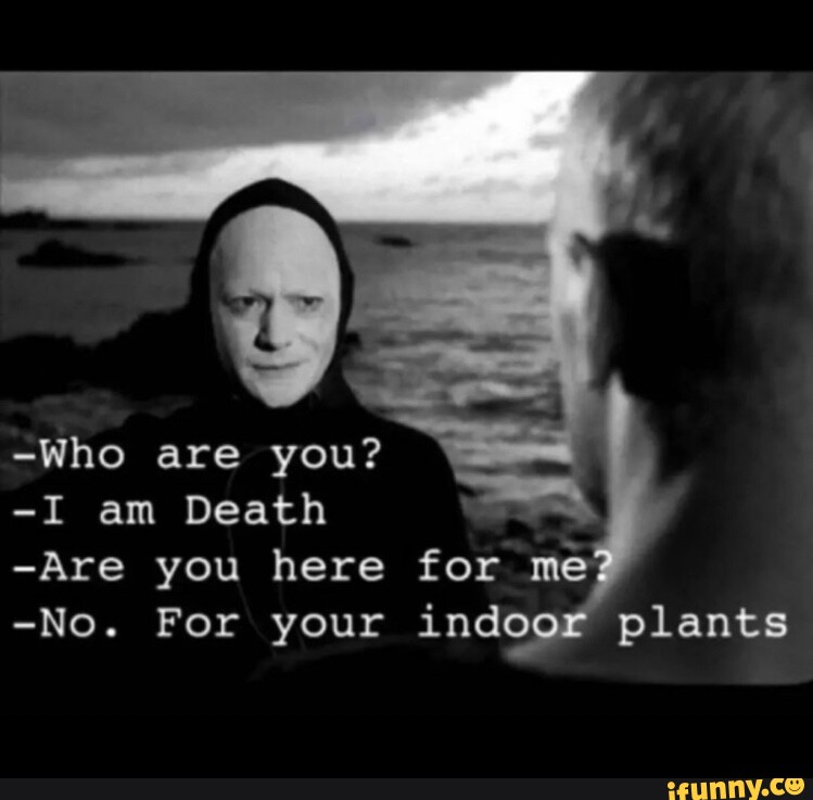 Herefor memes. Best Collection of funny Herefor pictures on iFunny