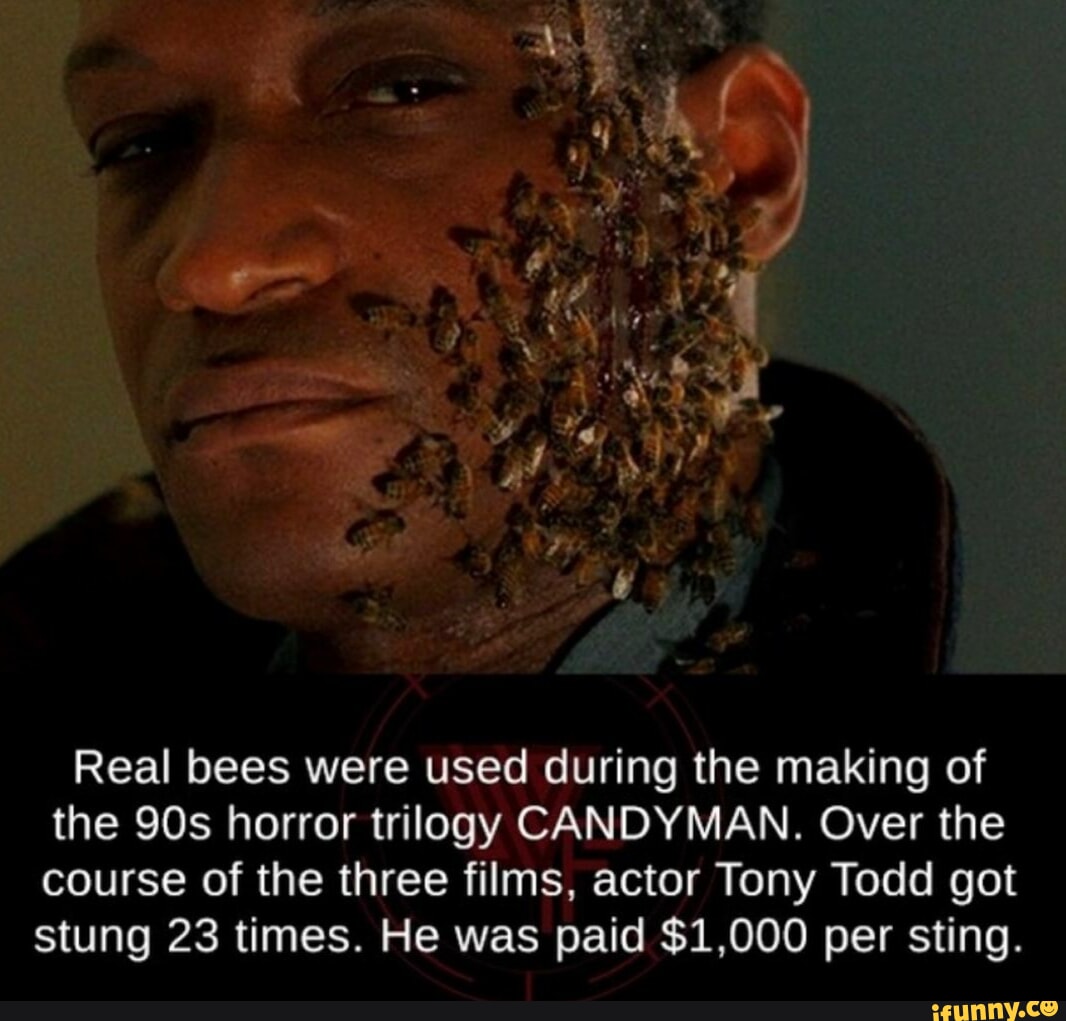 picture-memes-vdxjsxwk9-by-cacvideos-ifunny