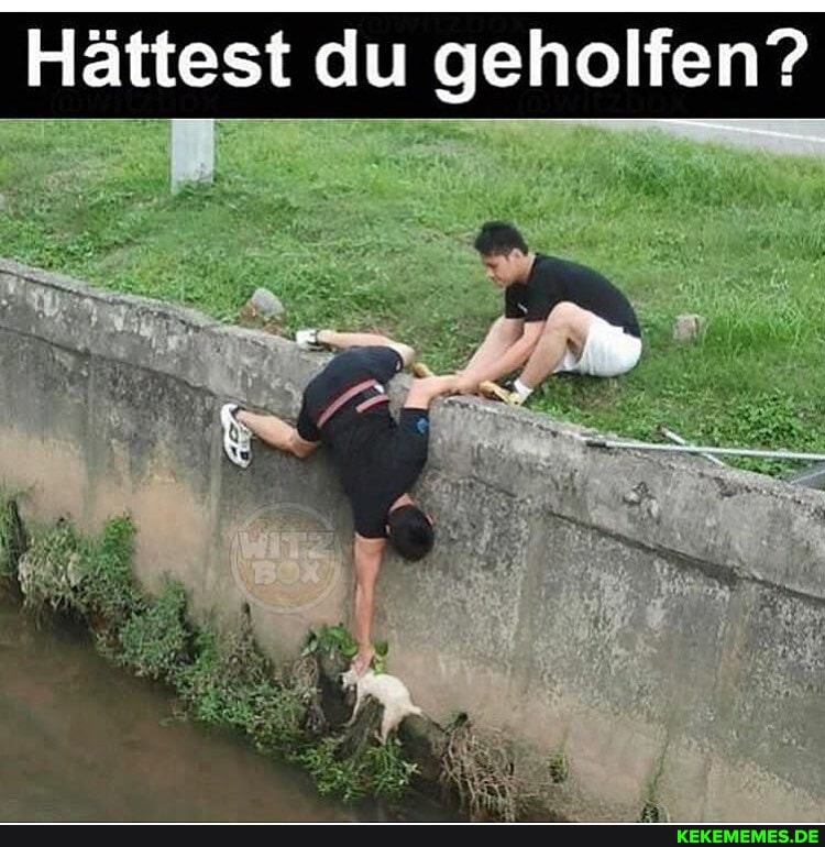 Hättest du geholfen?