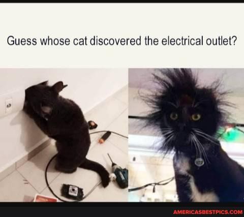 Guess whose cat discovered the electrical outlet?