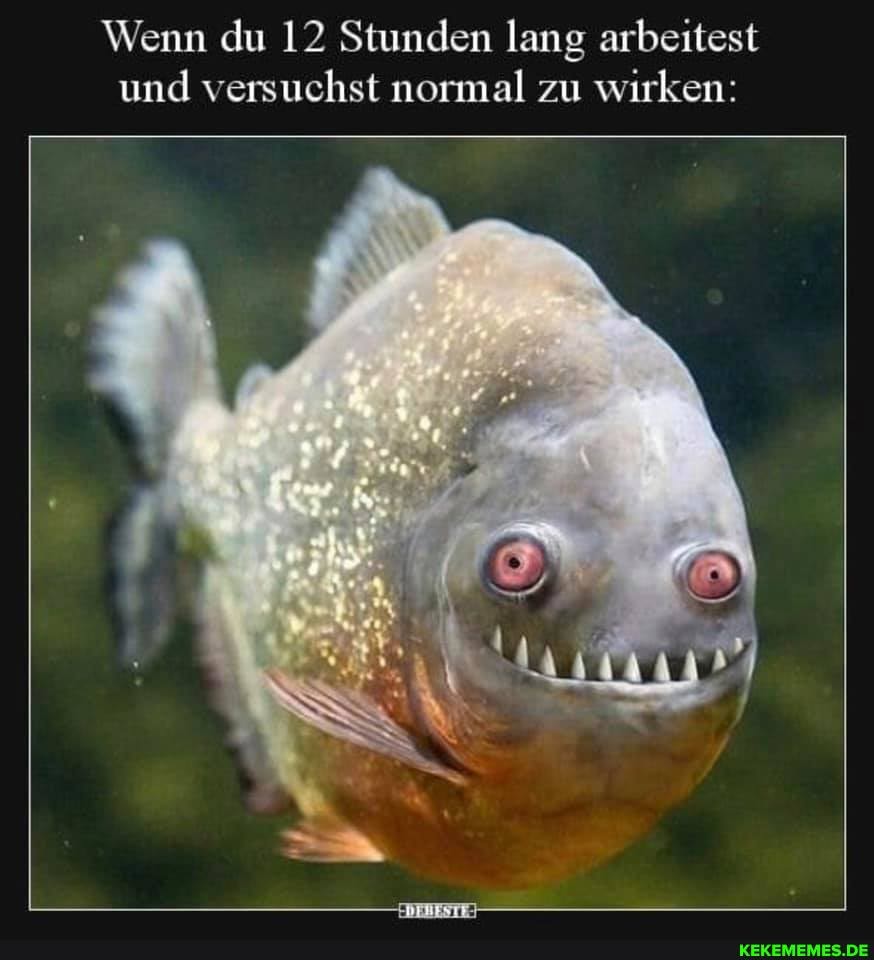 Wenn du 12 Stunden lang arbeitest und versuchst normal zu wirken:
