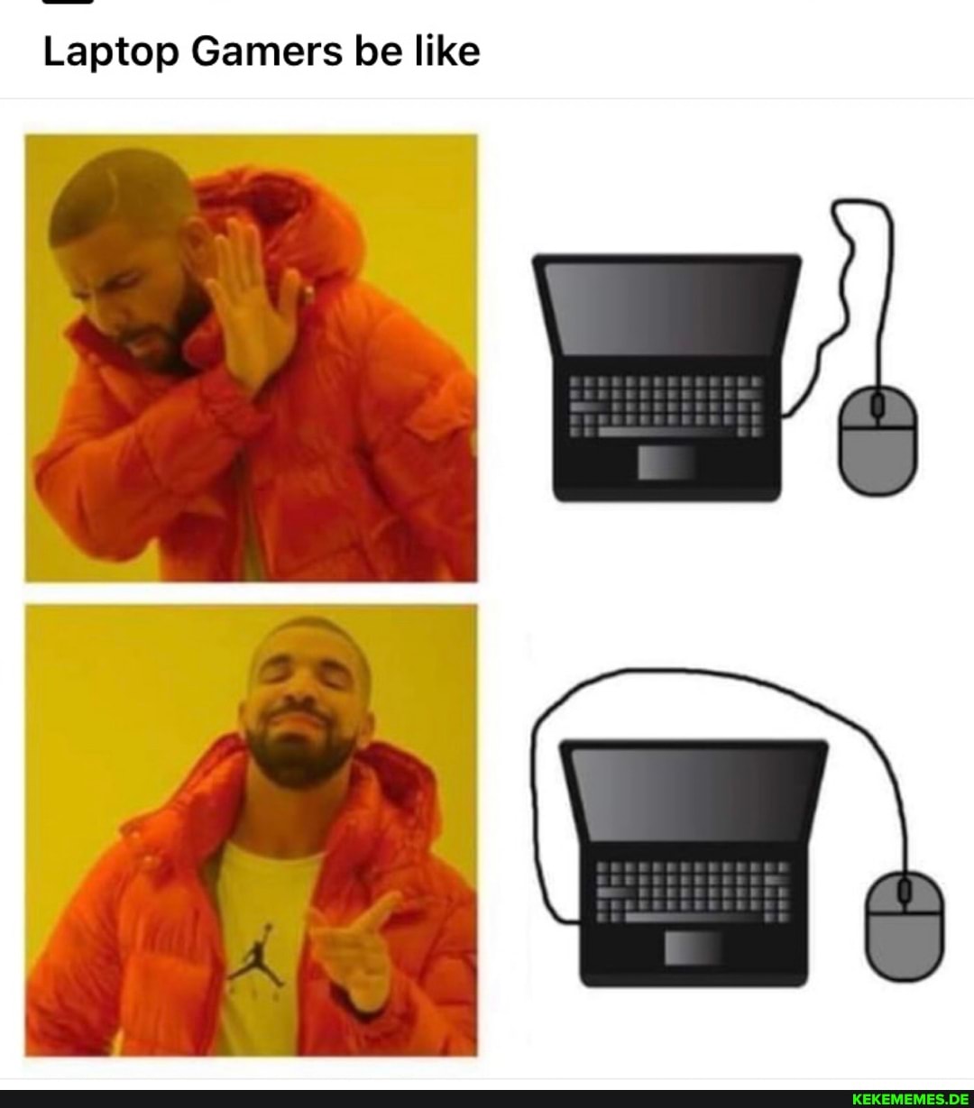 Laptop Gamers be like
