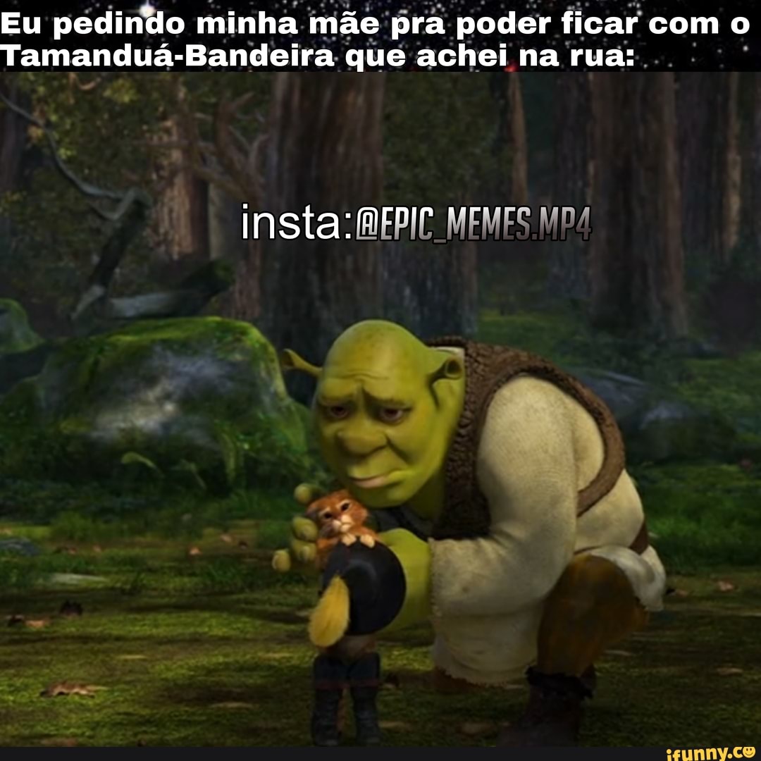 Eu pedindo minha. mãe pra. poder ficar com o
Tamanduá-Bandeira que achei na rua:
insta: BEPIC MEMES
