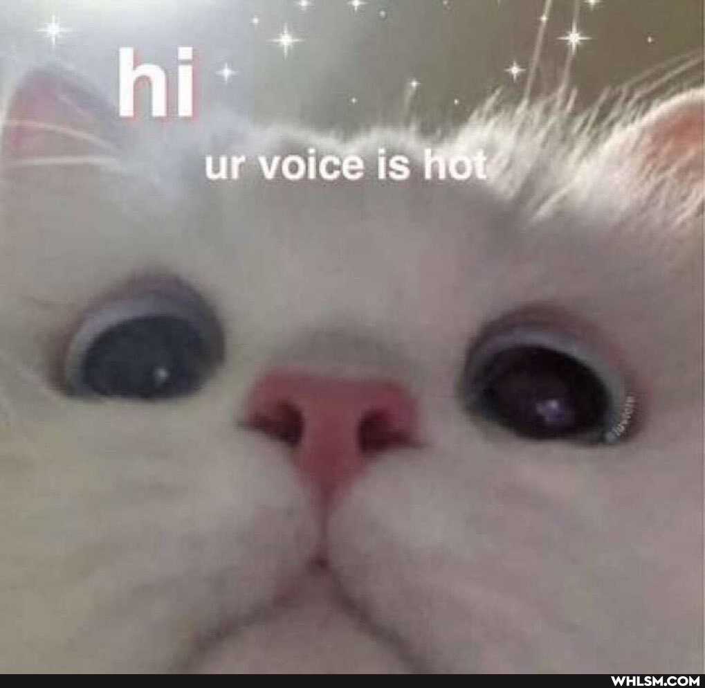 ur voice is hat