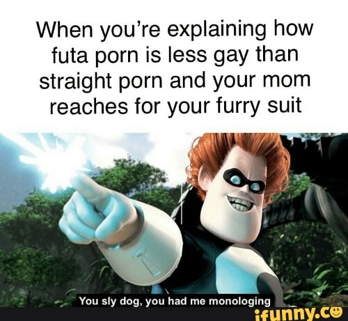 When you're explaining how futa porn is less gay than ...