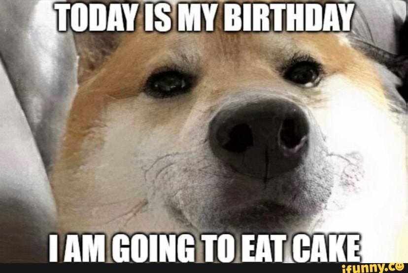 Such cool. Such cool. Such cool. Доги мем. Дож мем мем.