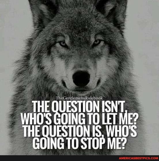 THE QUESTION ISNT.
WHO'S GOING TO LET ME?
THE QUESTION {S, WHO'S
GOING 10 STOP ME?