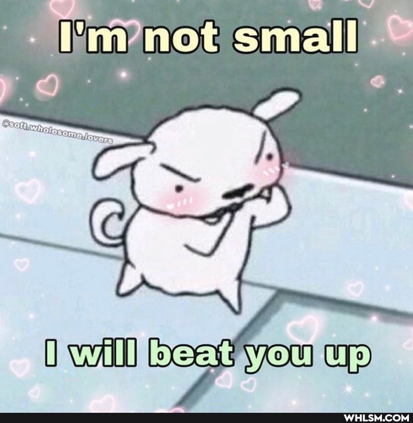 wot small
rt
will beat you Up