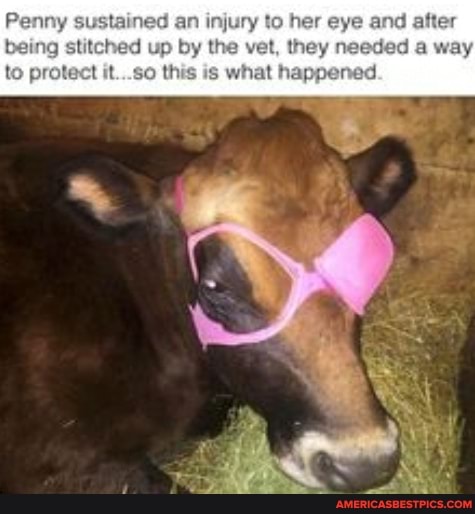 sustained an to her eye ater being stitched up by the they ad a way
