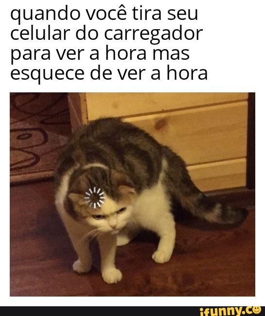 quando você tira seu celular do carregador para ver a hora mas esquece de ver a hora