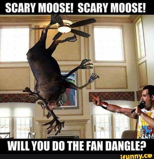 SCARY MOOSE! SCARY MOOSE! WILL YOU DO THE FAN DANGLE? - iFunny