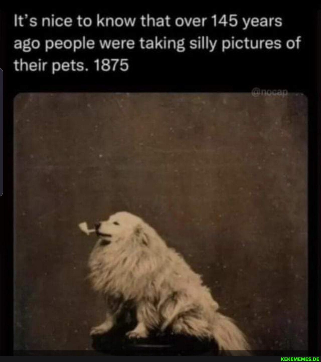 It's nice to know that over 145 years ago people were taking silly pictures of t