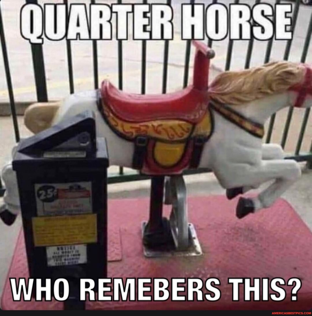 QUARTER HORSE
WHO REMEBERS THIS?