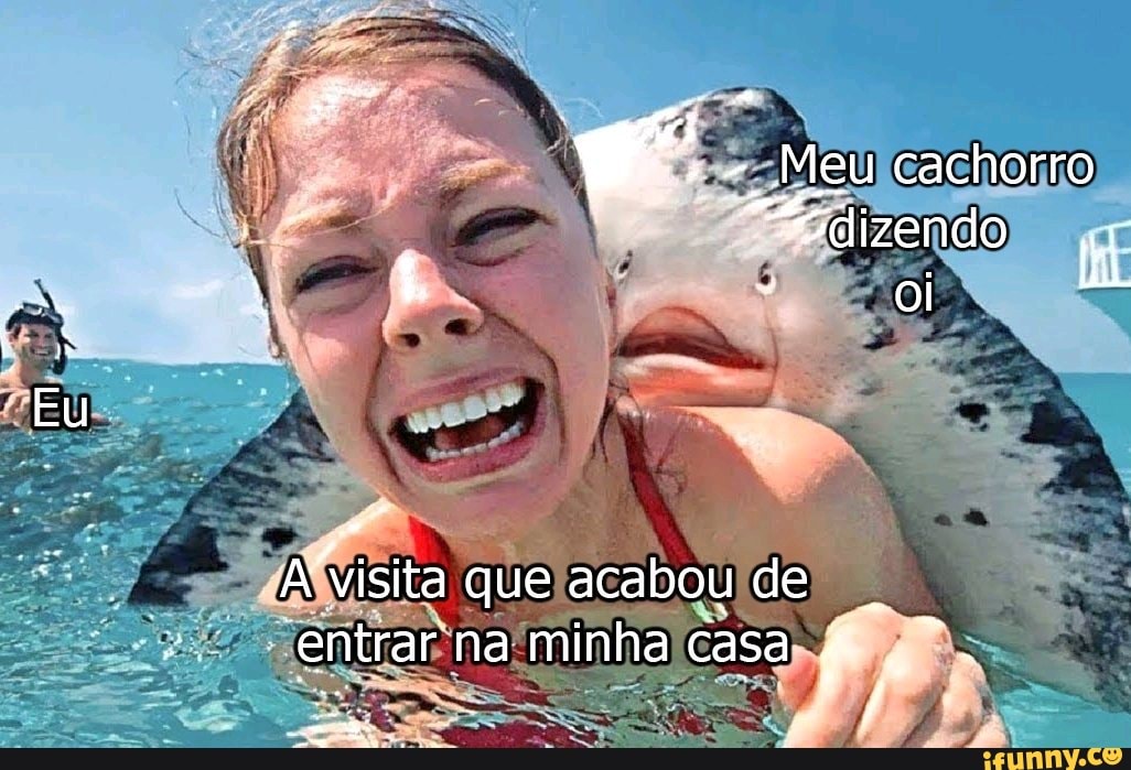 - Meu cachorro
A visita que acabou de entrar na minha casa