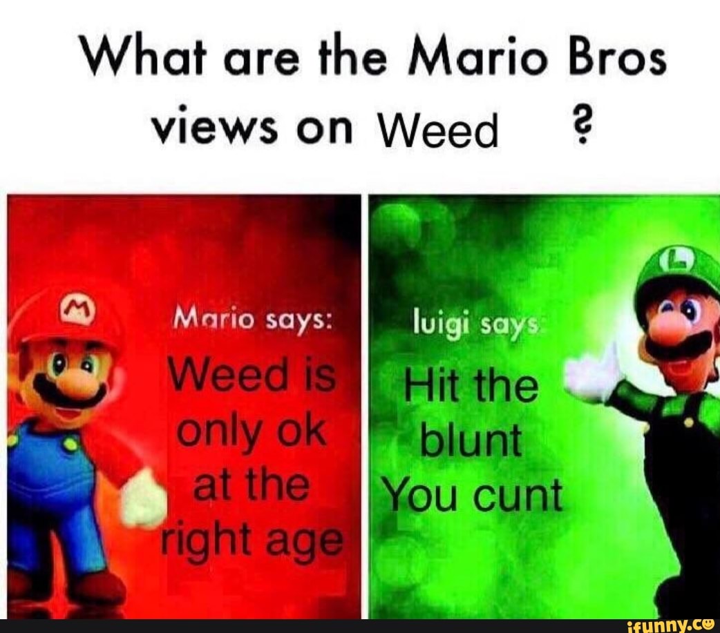 What are the Mario Bros views on Weed ? - iFunny