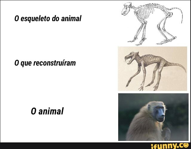 O esqueleto do animal
O que reconstruíram
O animal