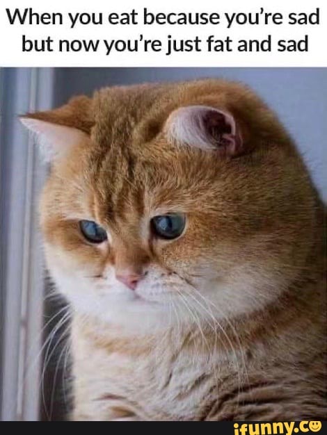 When you eat because you're sad
but now you're just fat and sad