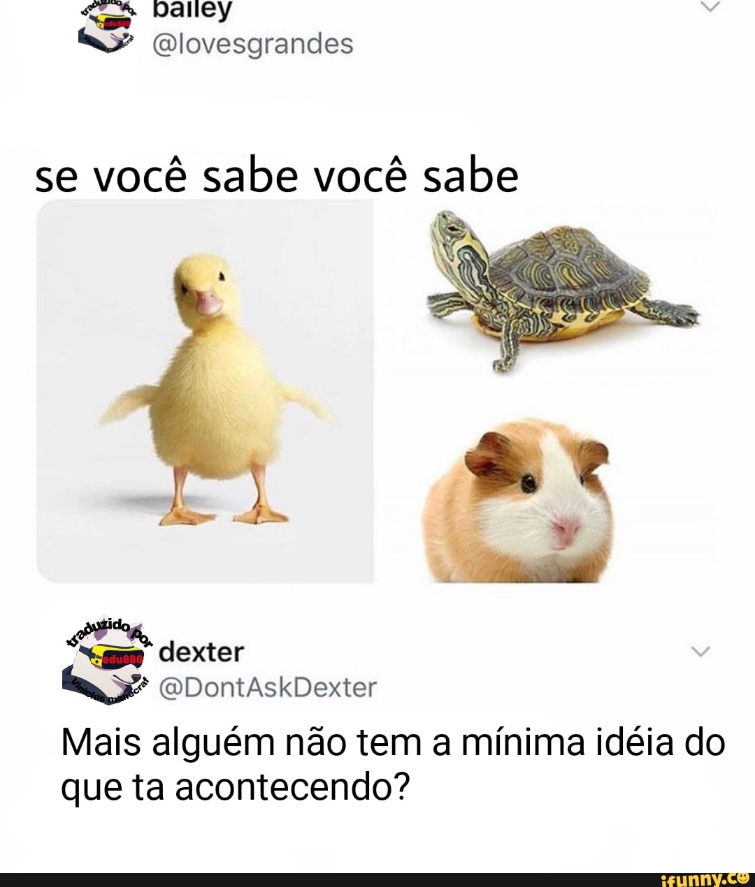 se você sabe você sabe
Mais alguém nao tem a minima idéia do
que ta acontecendo?