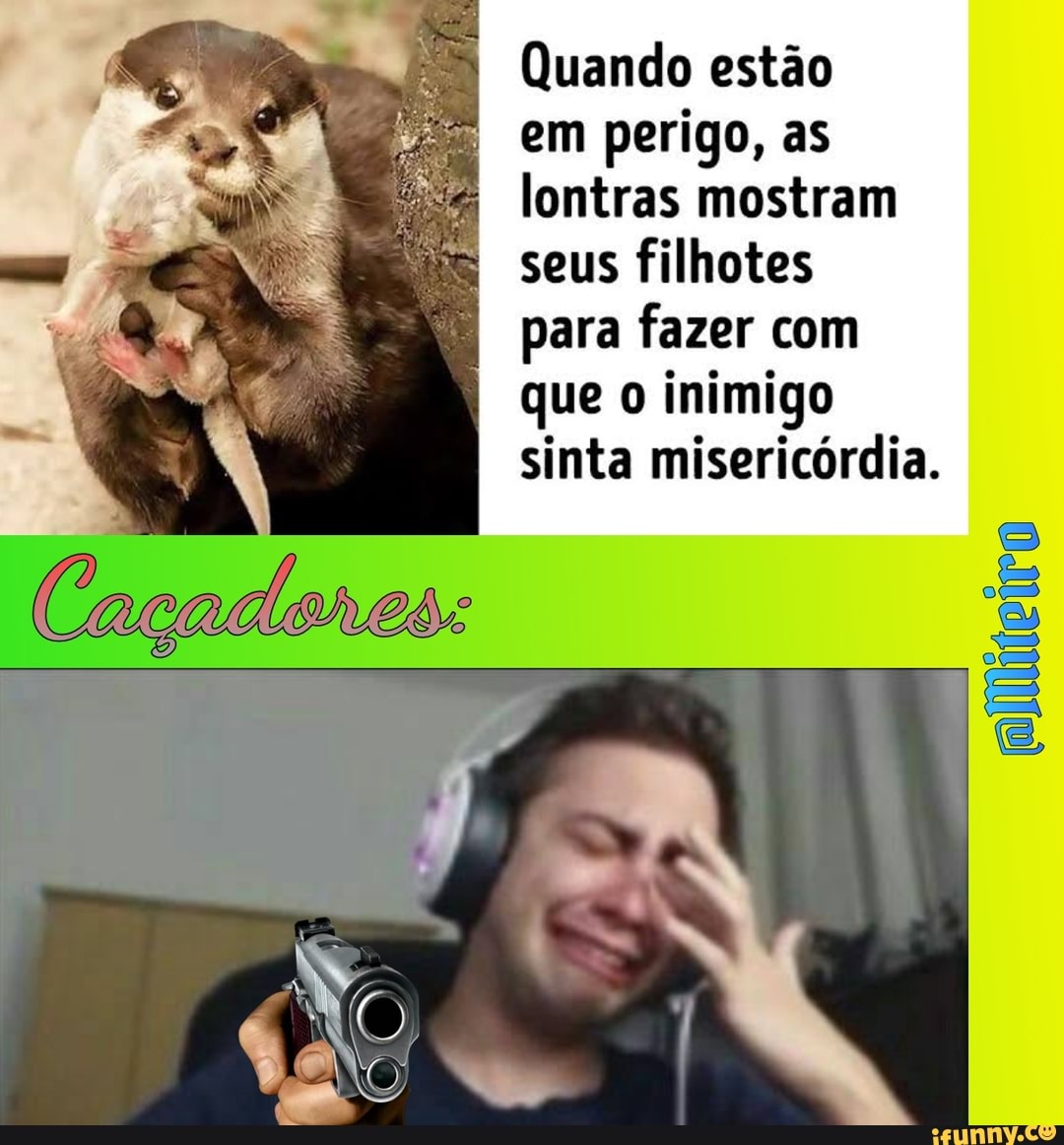 Quando estão
em perigo, as lontras mostram seus filhotes para fazer com que o inimigo sinta misericórdia.