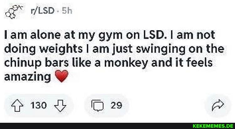 LSD
lam alone at my gym on LSD. am not doing weights I am just swinging on the chinup bars like a monkey and it feels amazing