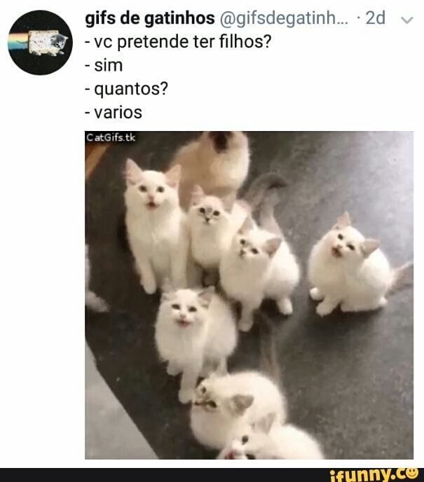 vc pretende ter filhos?
sim
quantos?
varios
