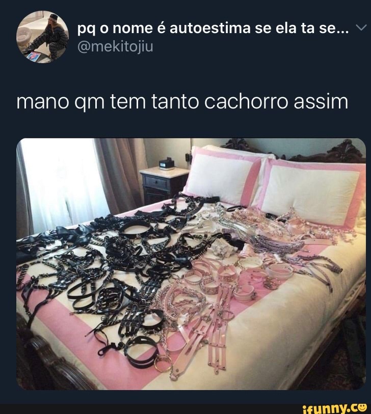 I" mano qm tem tanto cachorro assim