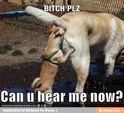 Y
Can u hear me now?
