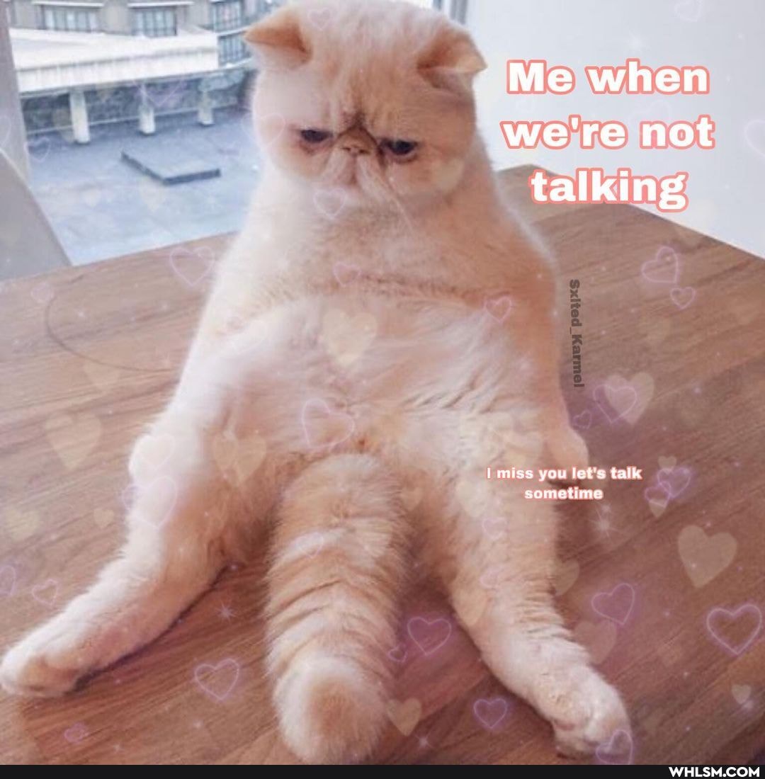 Me when we're not talking
muss you lets talk
somatine