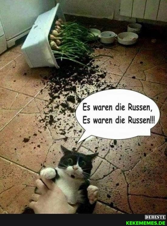 Es waren die Russen,
Es waren die Russen!!!
DERESTE