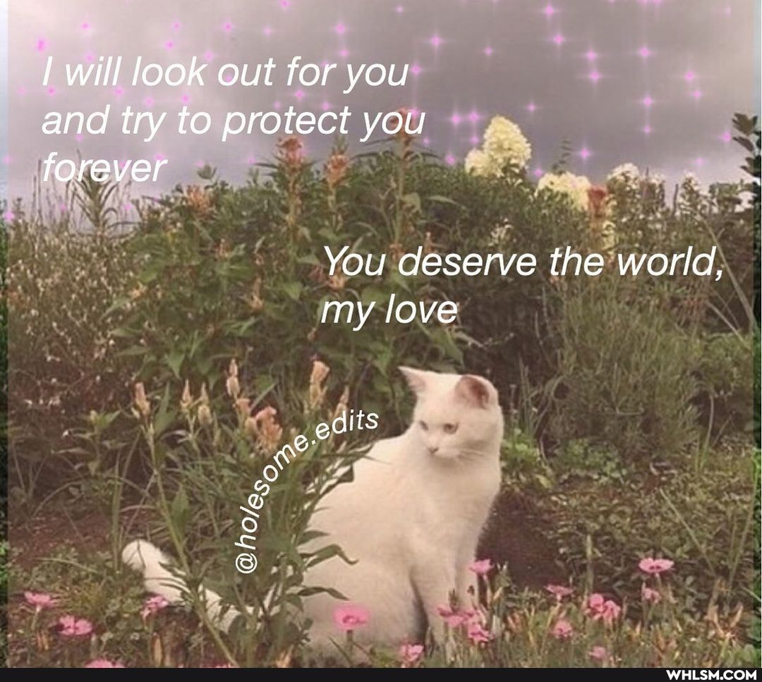 will look out for you and try to protect you forever
You deserve the world, my love
dits