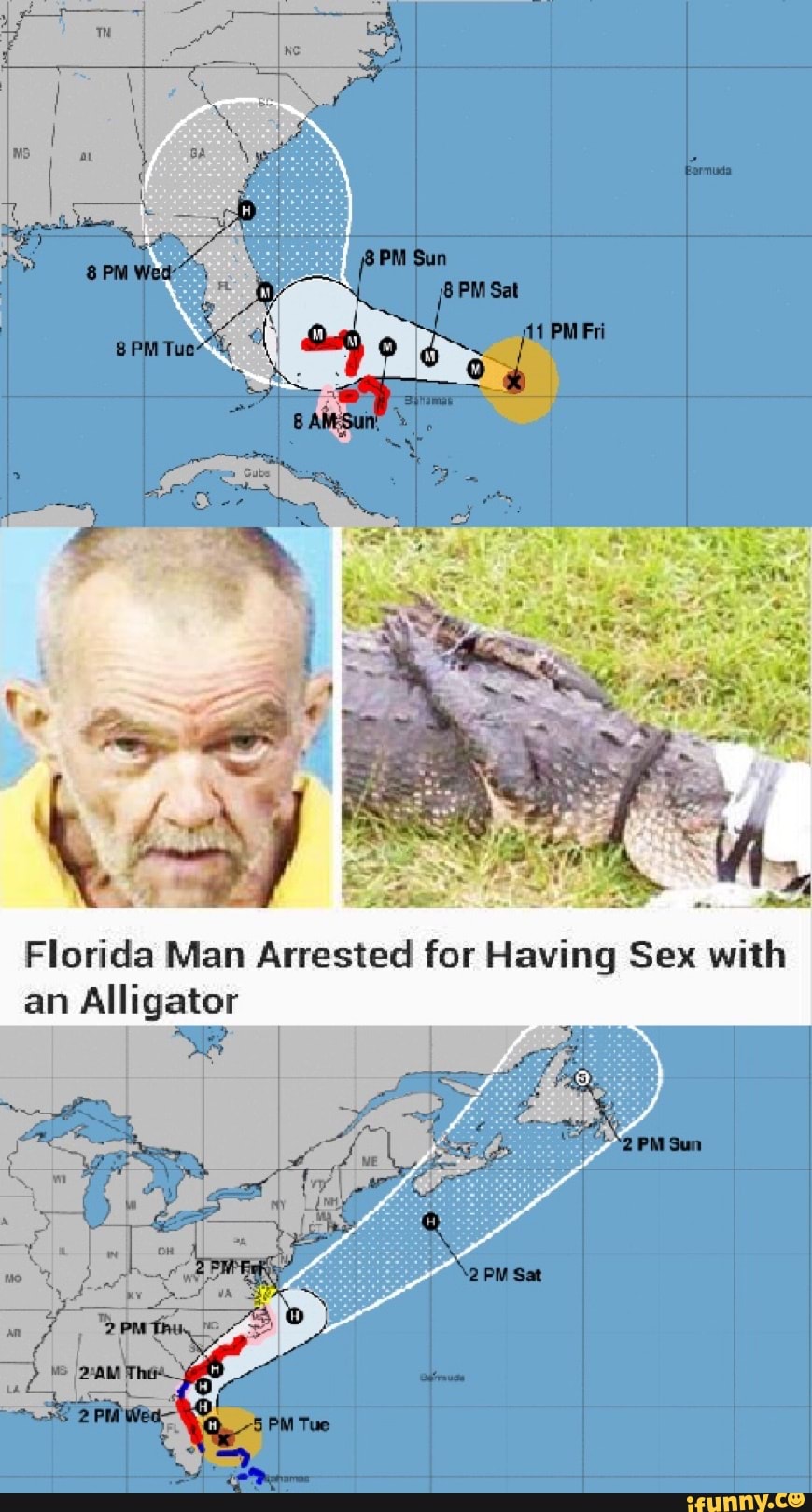 Florida Man Arrested For Having Sex With An Alligator Ifunny