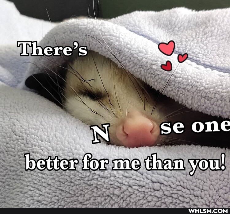 better for me than you!