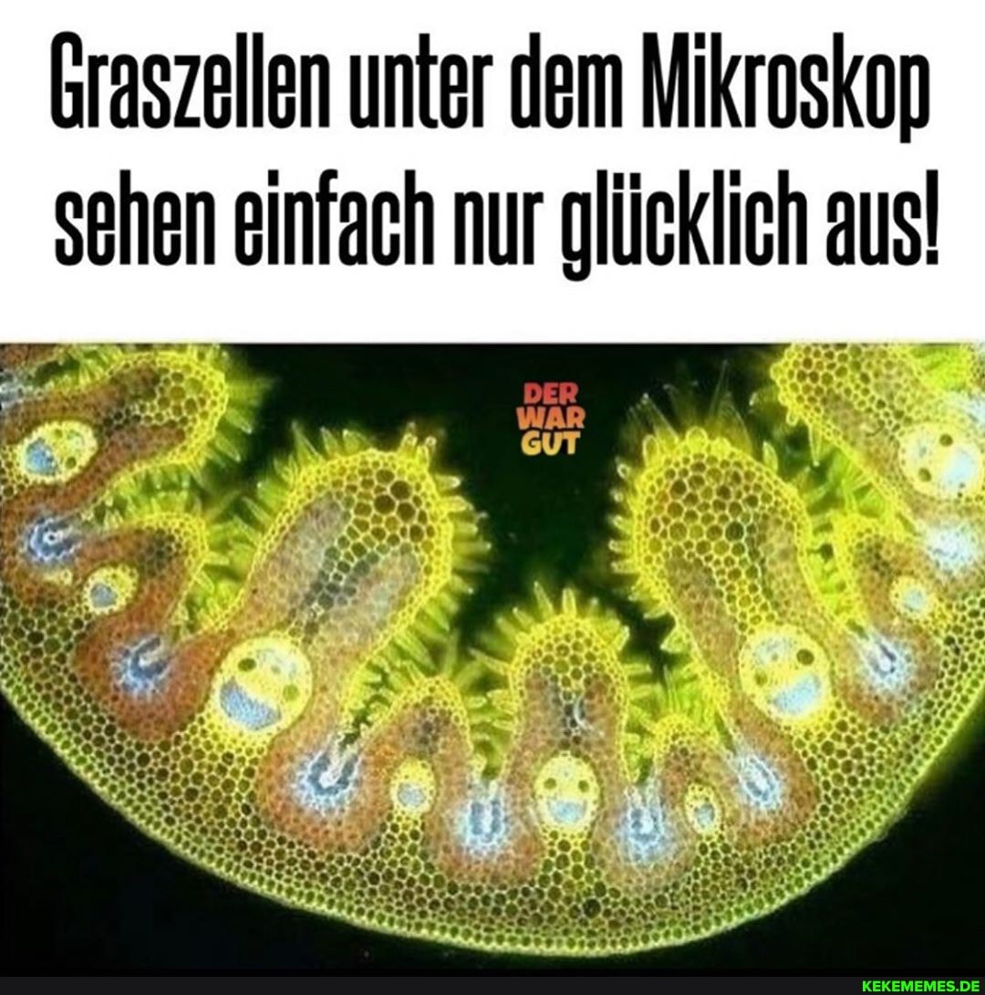 Graszellen unter dem Mikroskop sehen einfach nur glücklich aus!